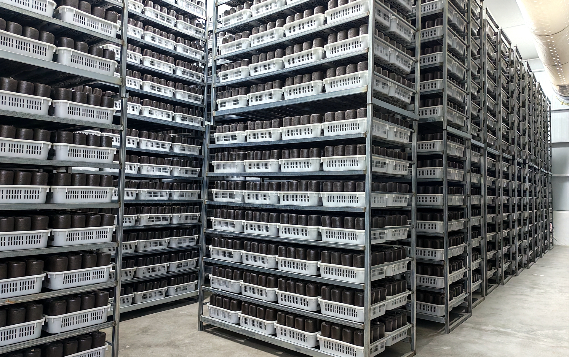 微信图片_20260313153934_710_12_副本