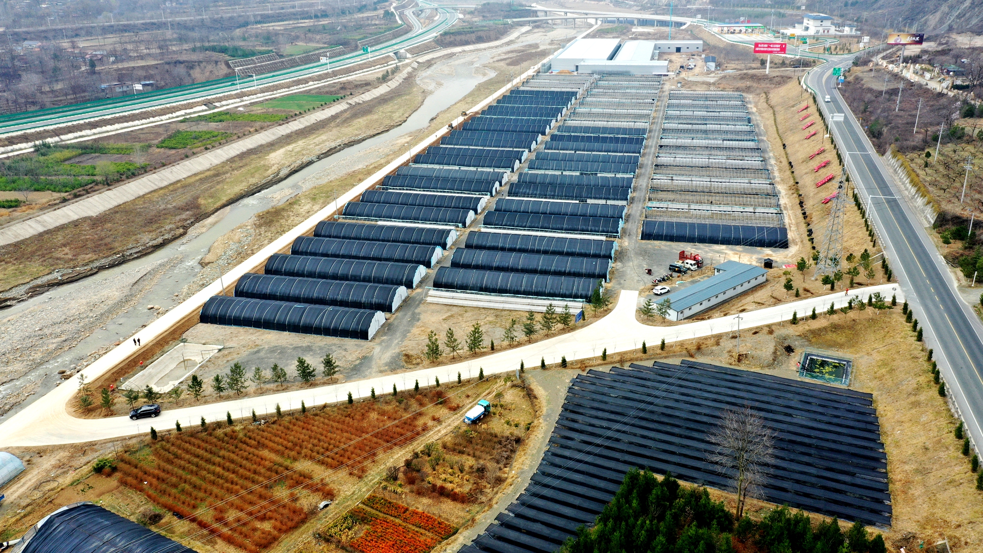 1773300317545092566_副本