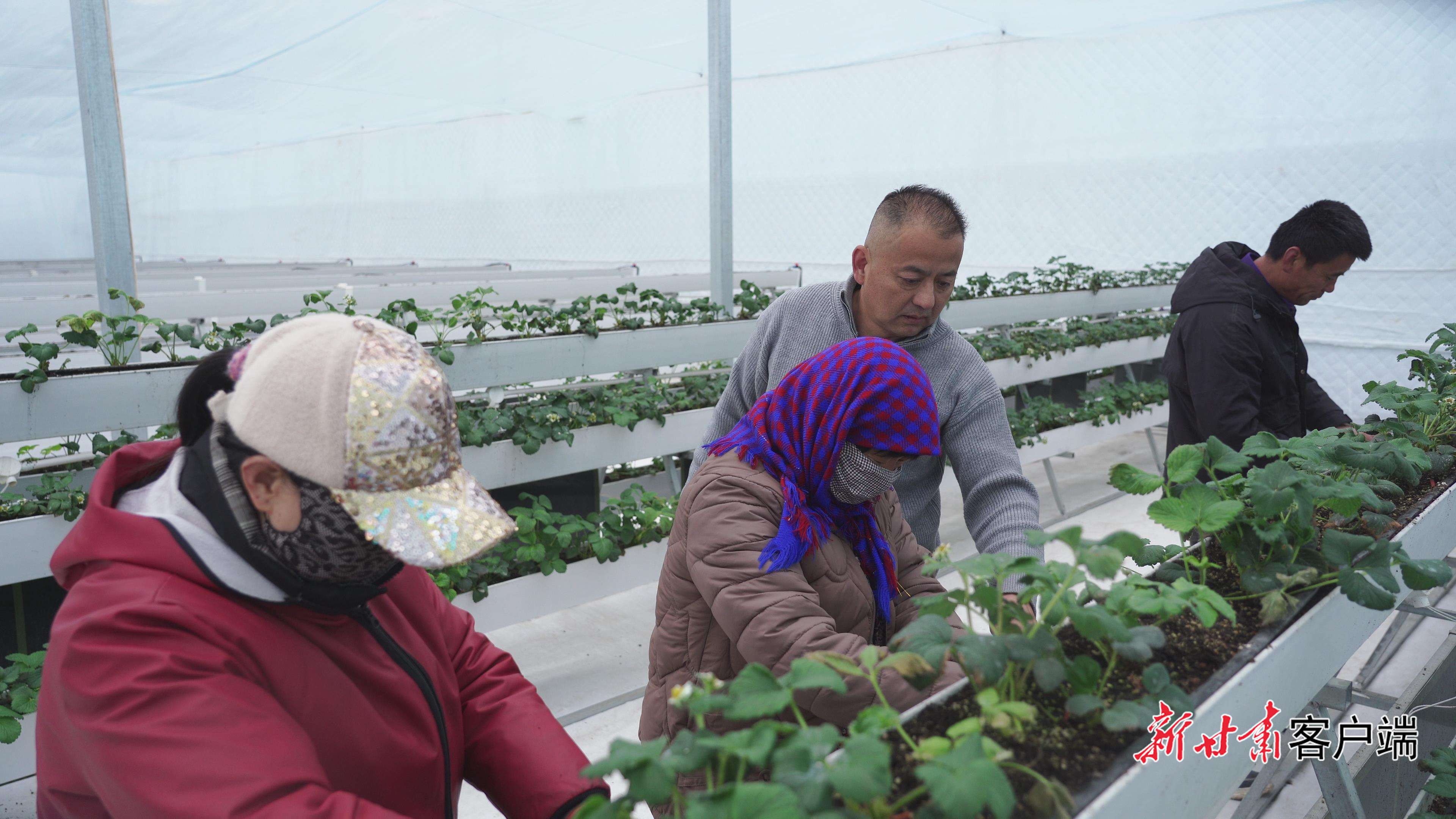 FZ007247463032_A5620361