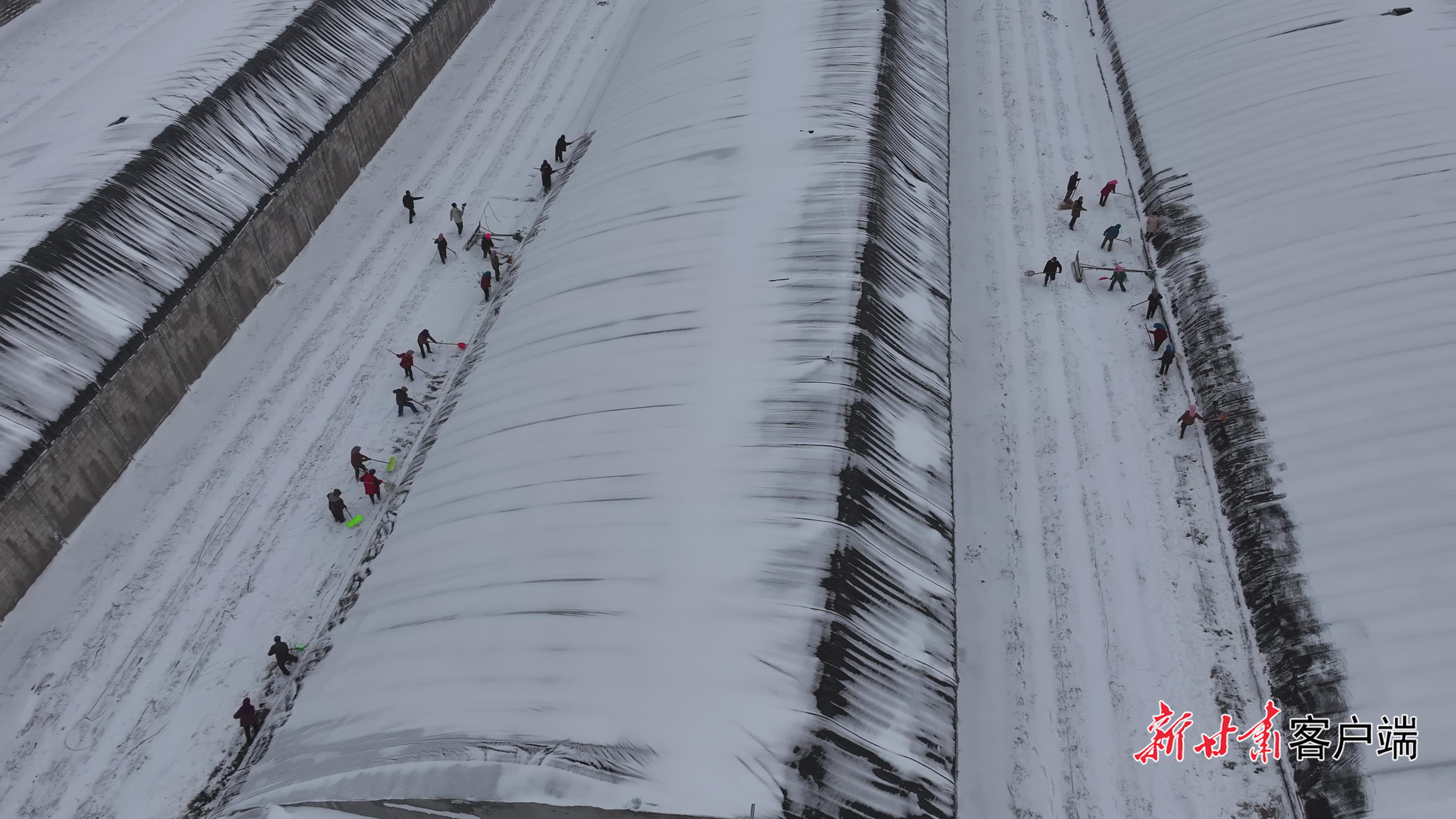 FZ007247463032_A5620362