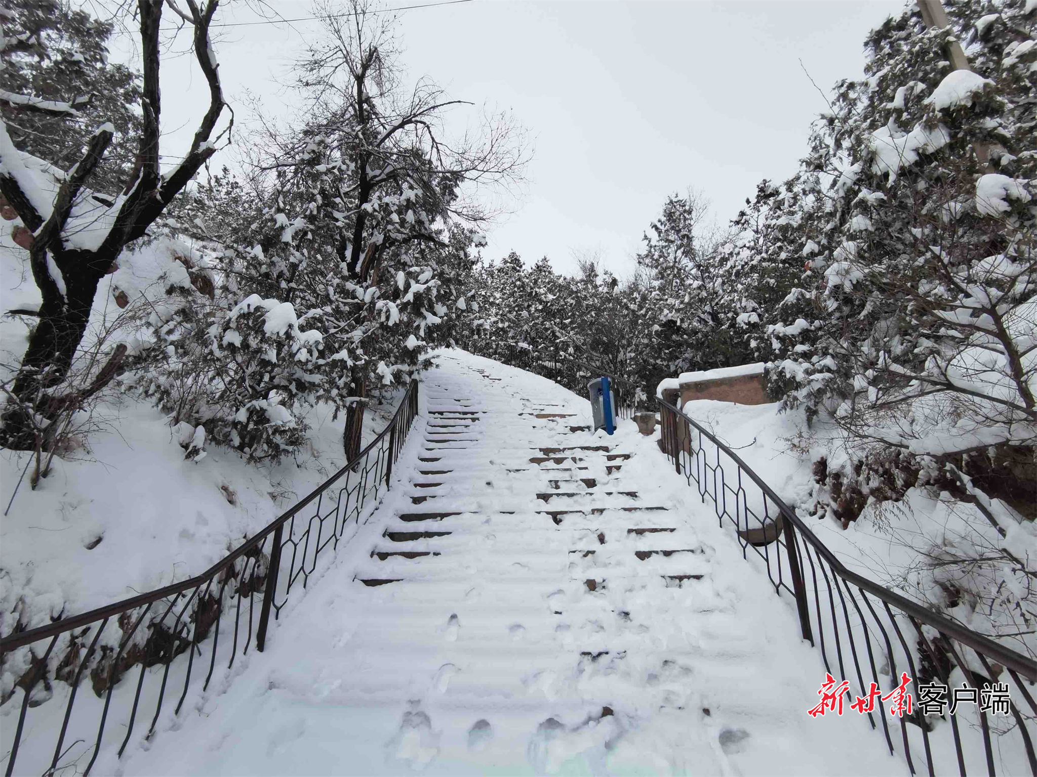 FZ007247463036_A5620367