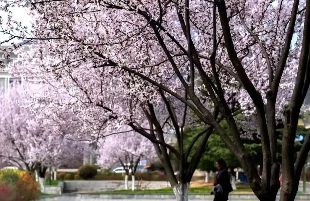 1773649101997028649.jpeg 1773484605285016726.jpeg