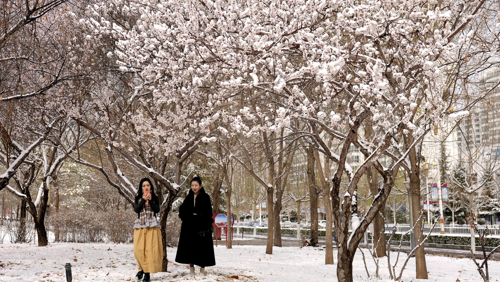 1773649308234015831.jpg 1773629804054088852.jpg