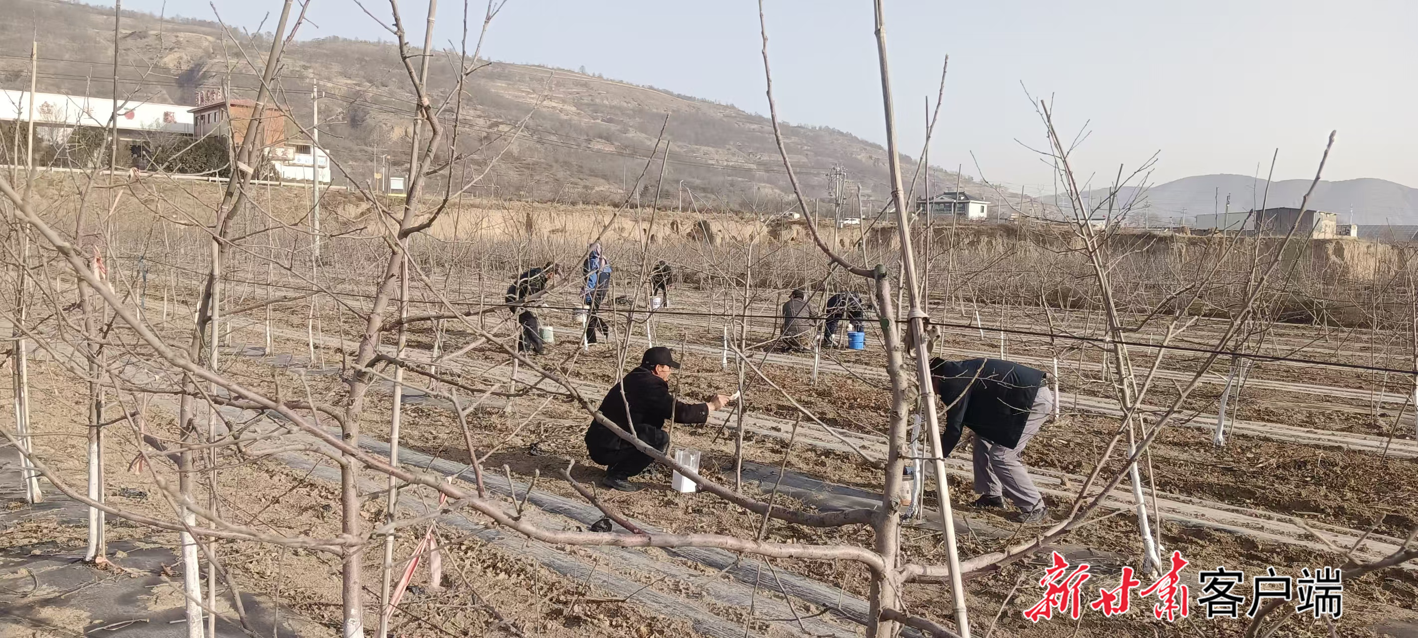 FZ007247497069_A5623362