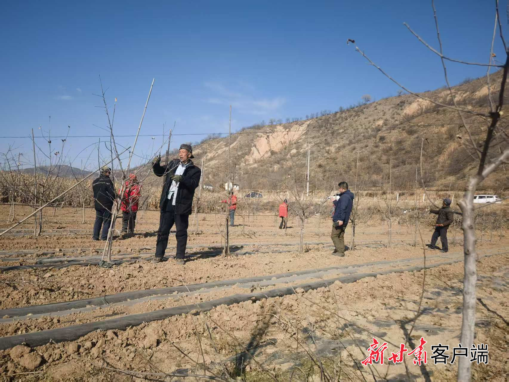 FZ007247497069_A5623363