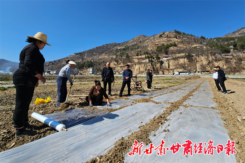 yes(县域组合 在希望的田野上)礼县:(47486572)-20260317111011