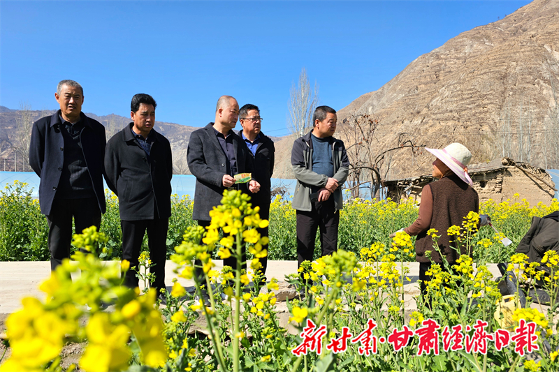 yes(县域组合 在希望的田野上)礼县:(47486574)-20260317111009