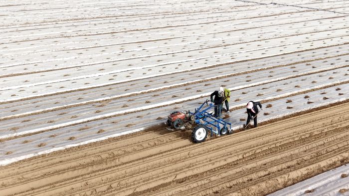 1773821174007018311.jpg 62ae6131758d4e05a4ce7f7d940efd97_s.jpg