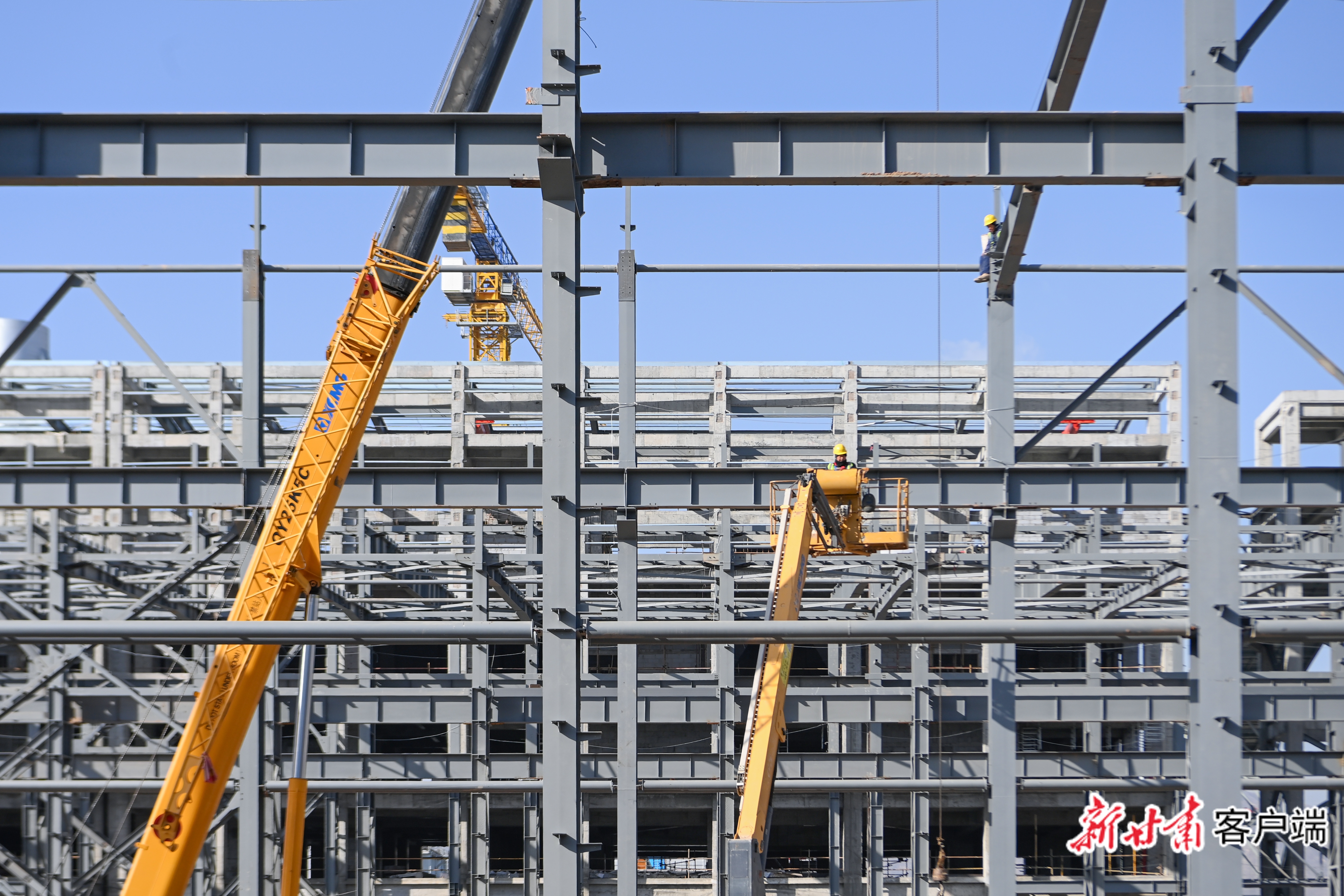 甘肃宝镁-田蹊(47549707)-20260320060712