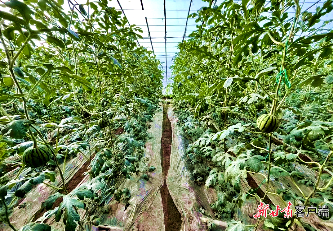 FZ007247607782_A5629478