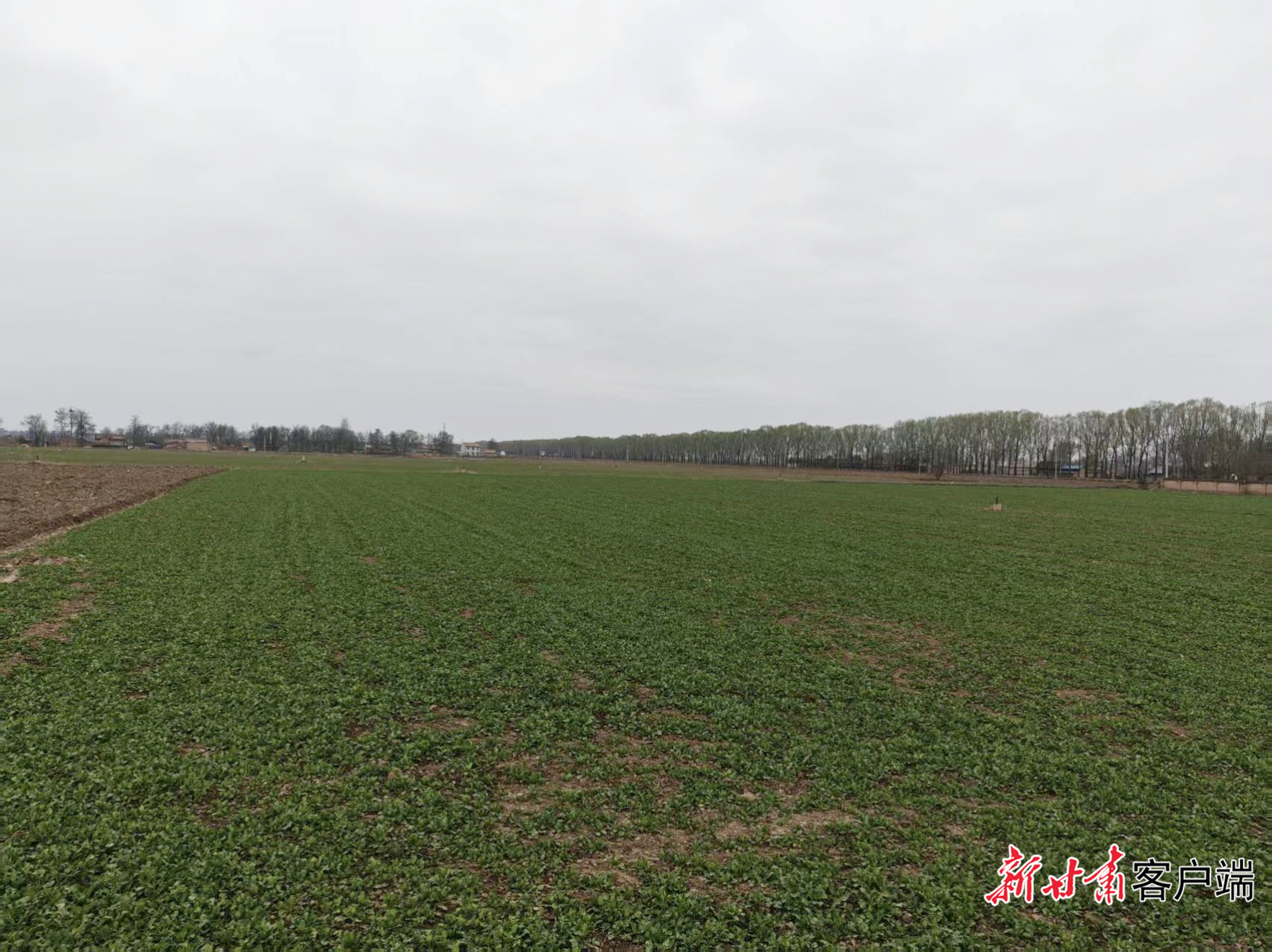 FZ007247625376_A5631803