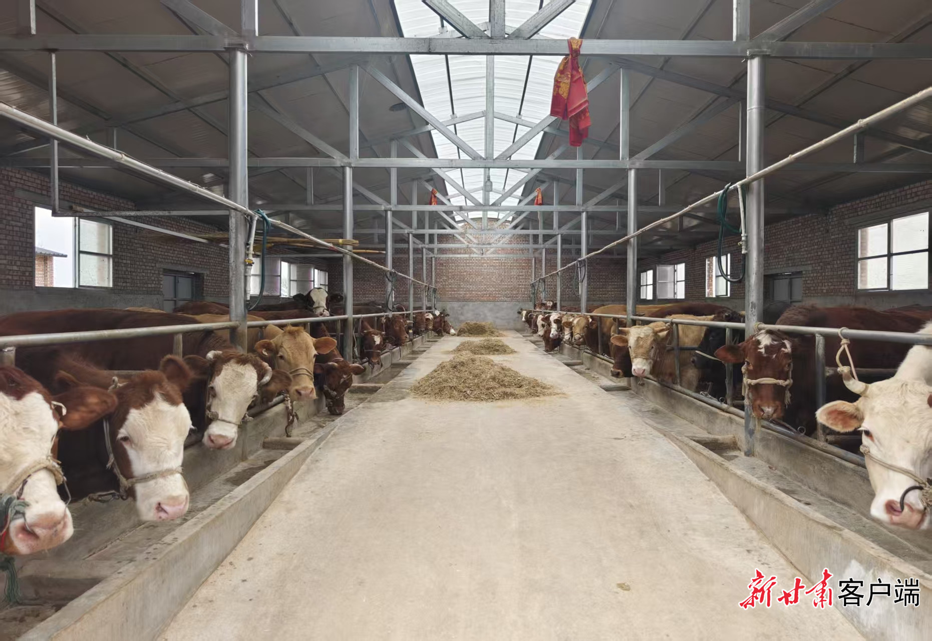 FZ007247625376_A5631806