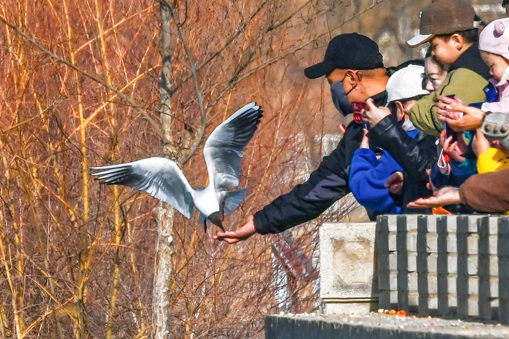 1774251149169072394.jpg a12841a923ad44beb0876464018befa8_副本.jpg