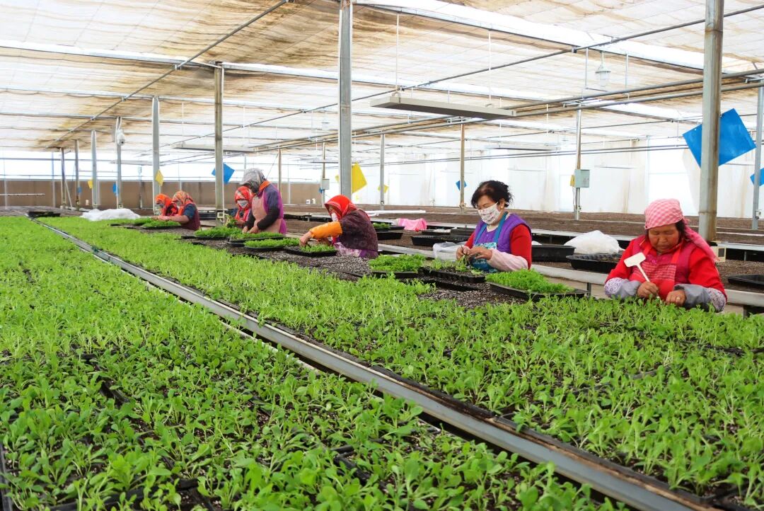 1774251689293060233.jpeg 1774066720026013995.jpeg