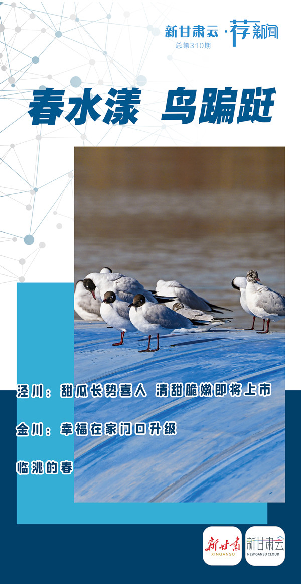 1774259525623034113.jpg 微信图片_20260323175032_274_119_副本.jpg