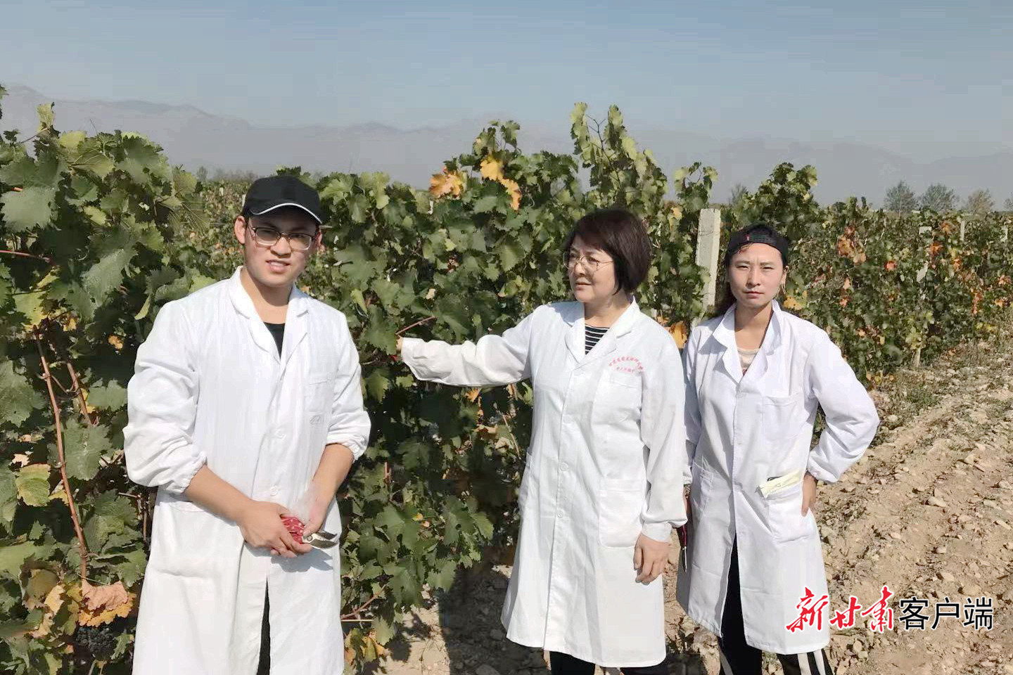 FZ007247653732_A5633912