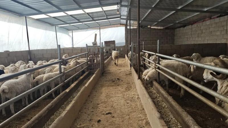 1774425743404067515.jpg 1774249257355069464.jpg