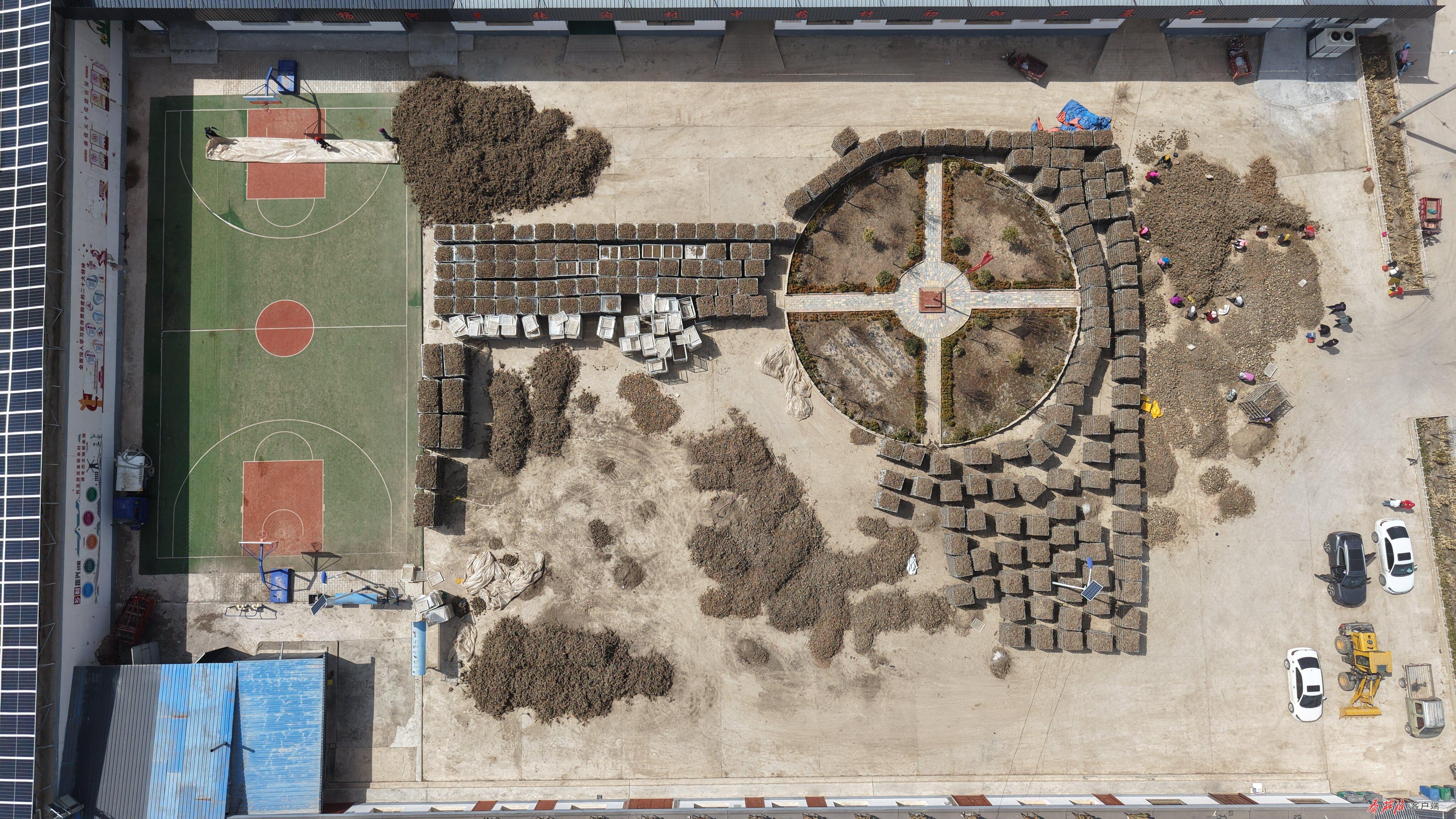 1774857674963091621.jpg 1774836159737075541.jpg