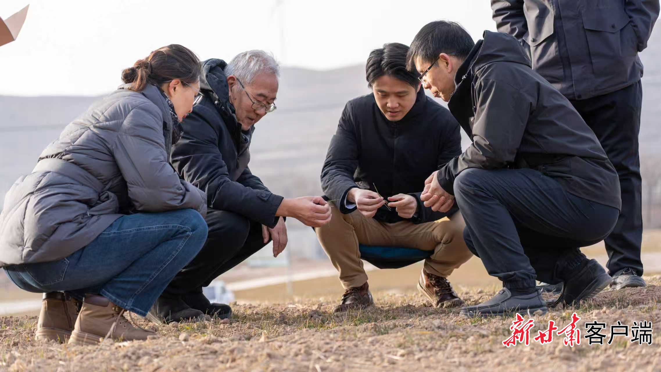 FZ007247784131_A5644934