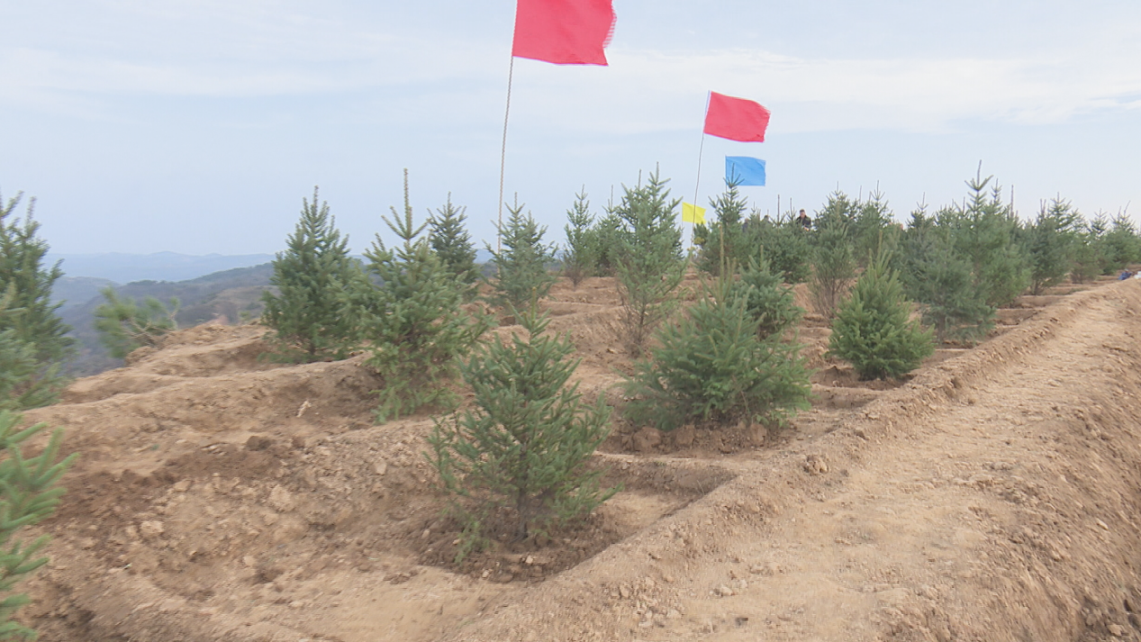 bb964e6f40f542a3b9eb260382f89661