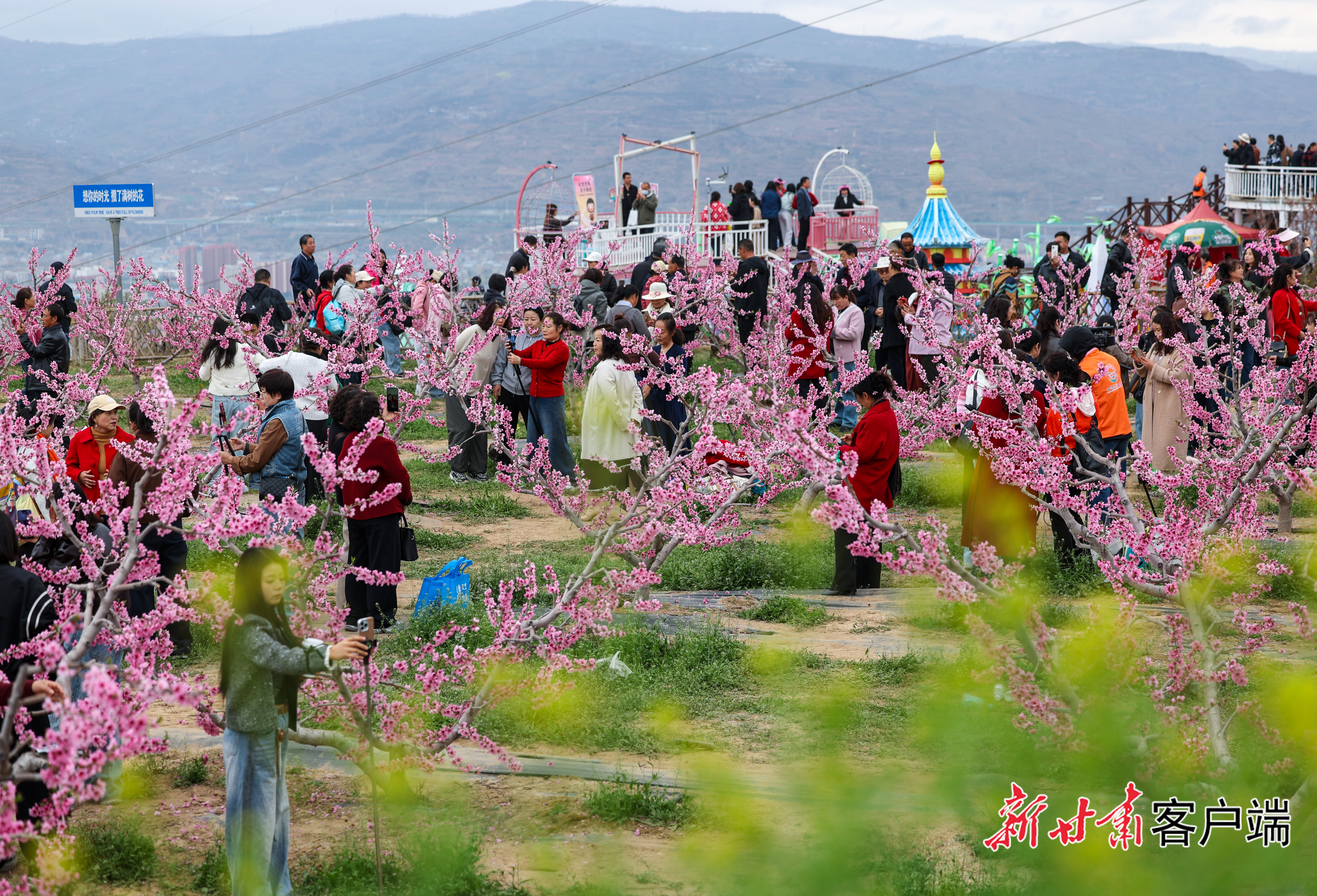 FZ007247886922_A5655645