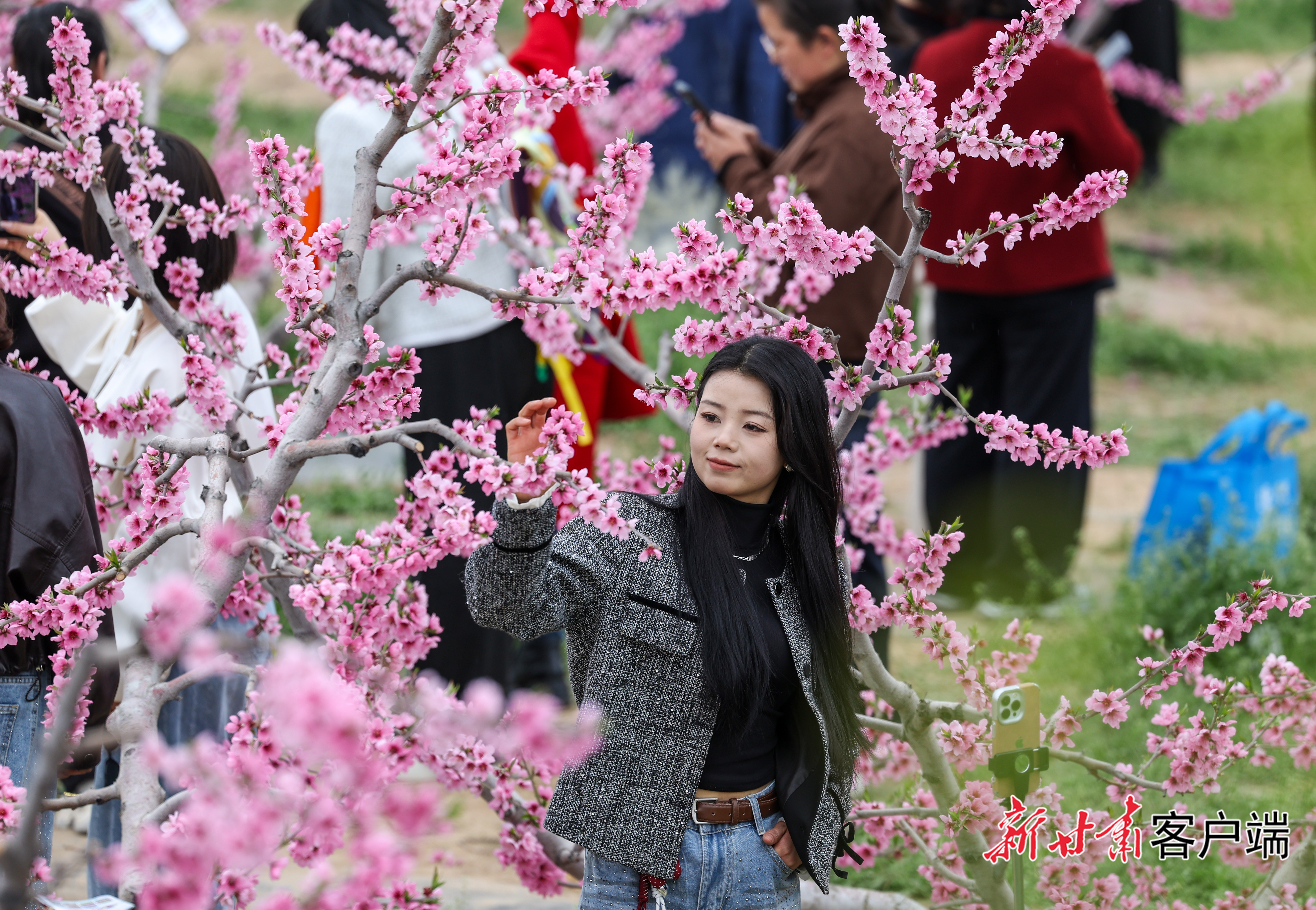 FZ007247886922_A5655646