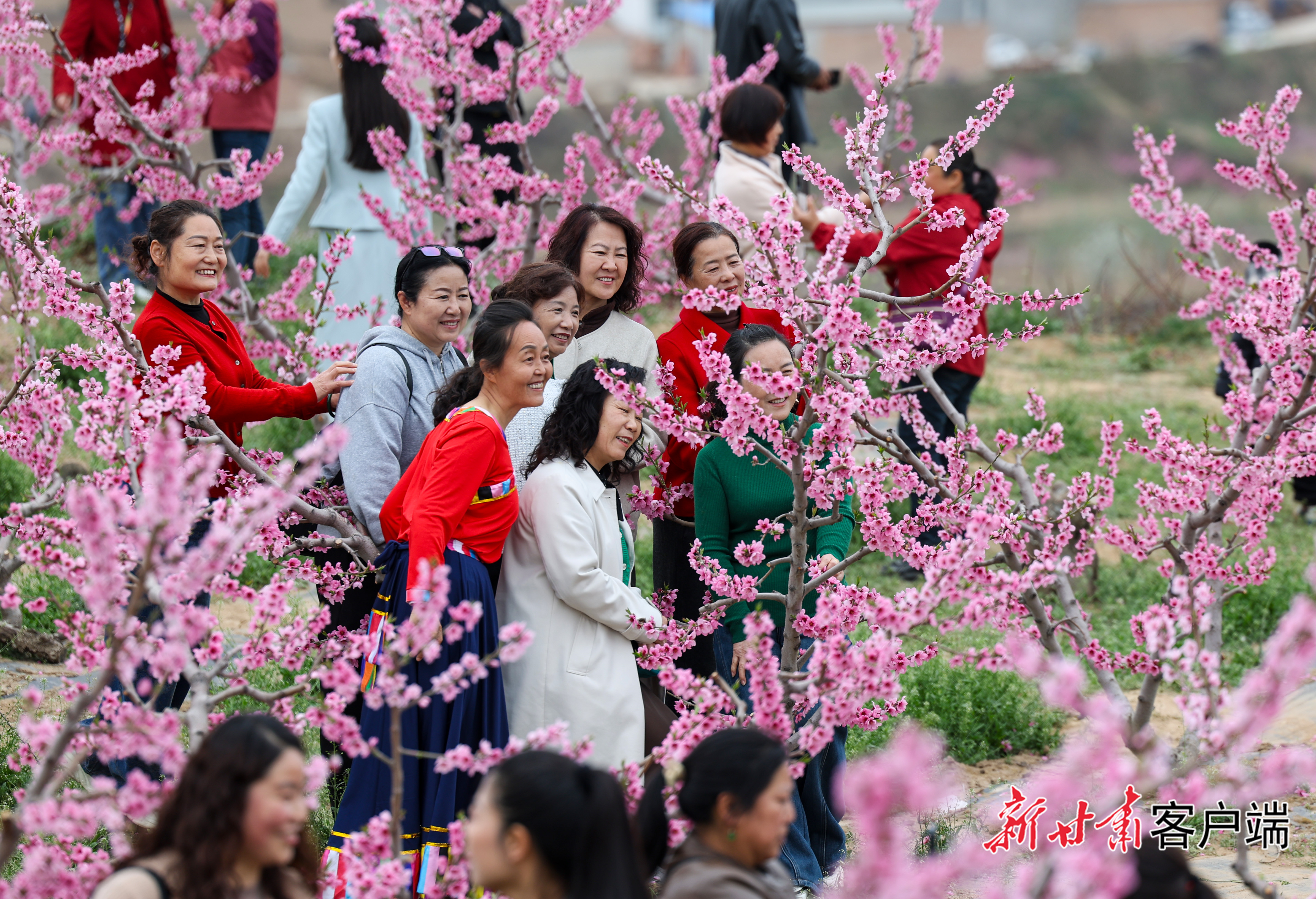 FZ007247886922_A5655647