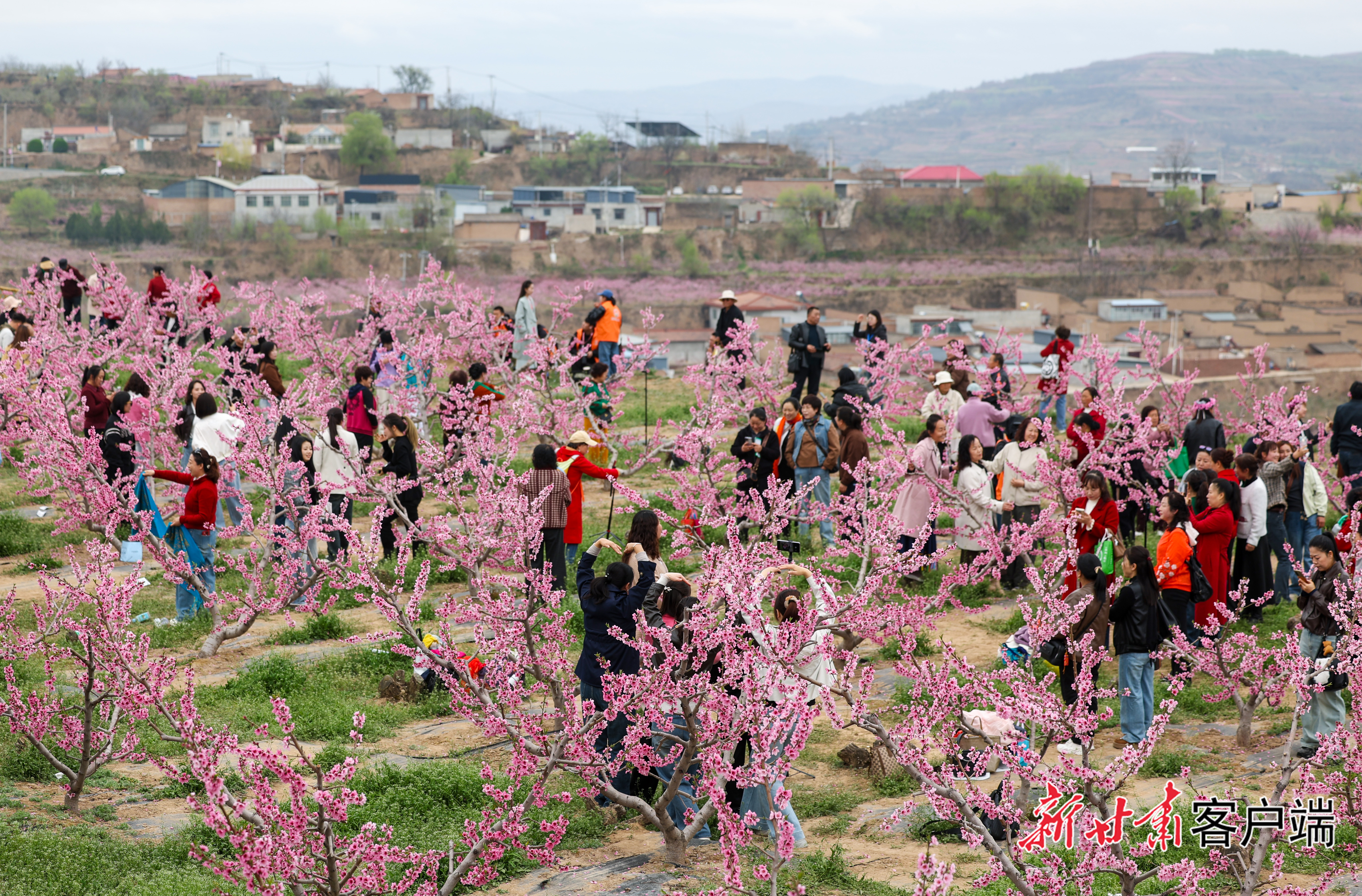 FZ007247886922_A5655648