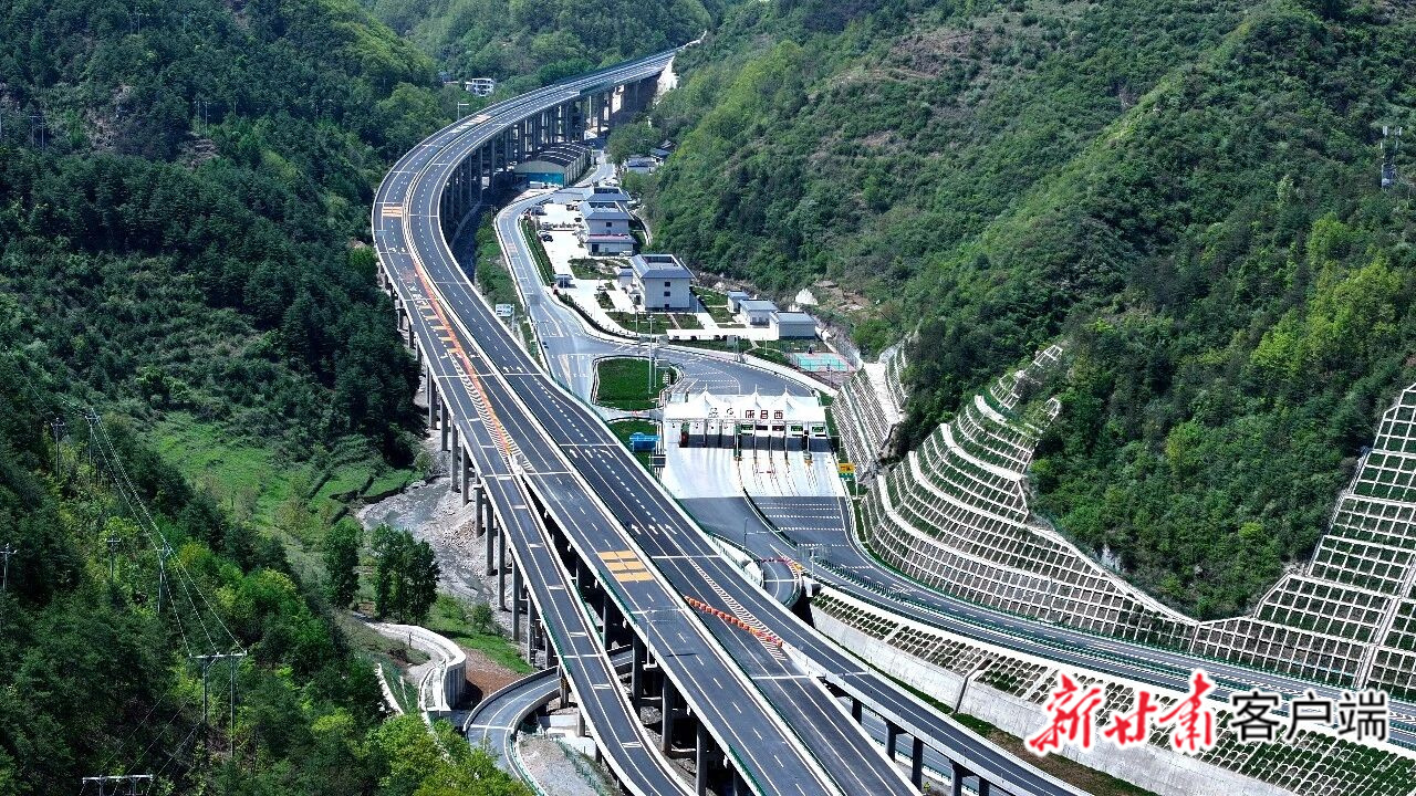 image_0 (2)