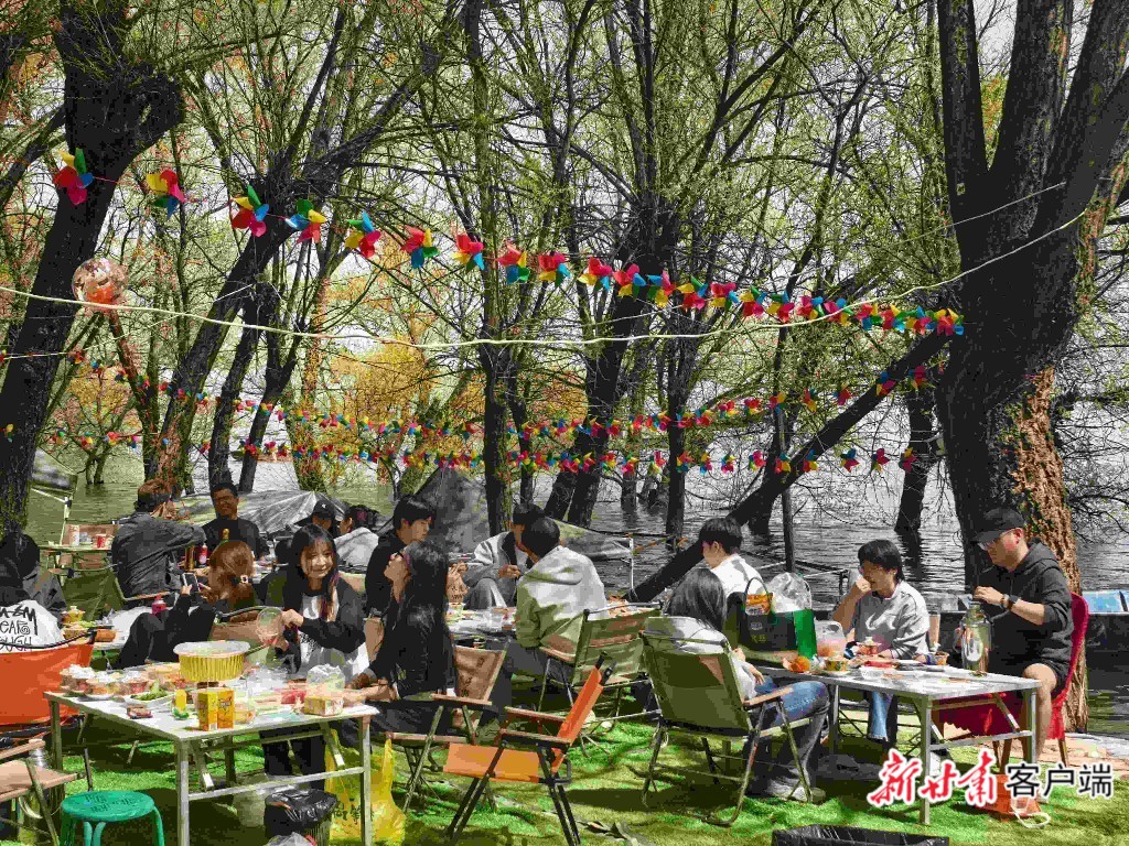 image_1 (6)