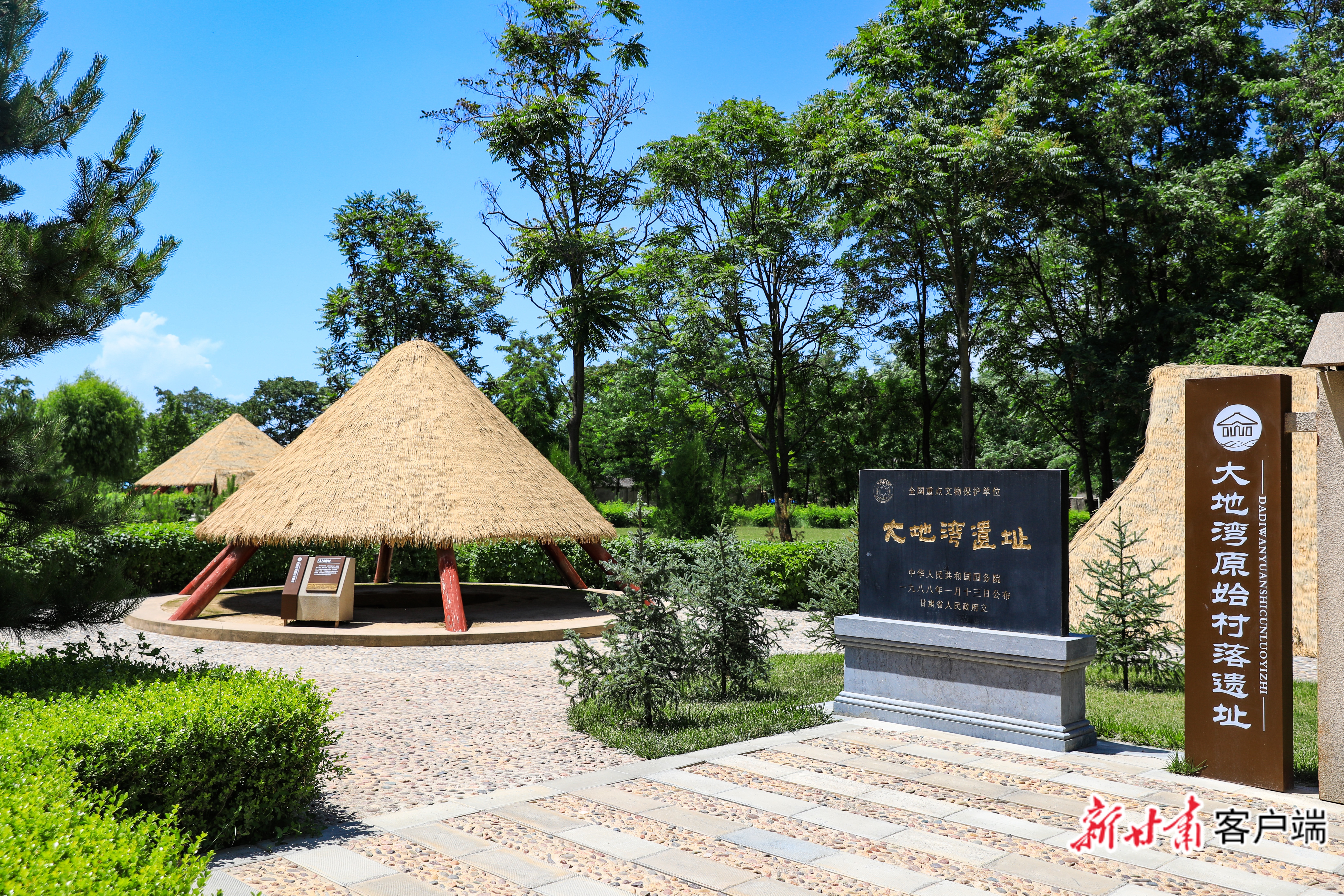 image_0 (12)