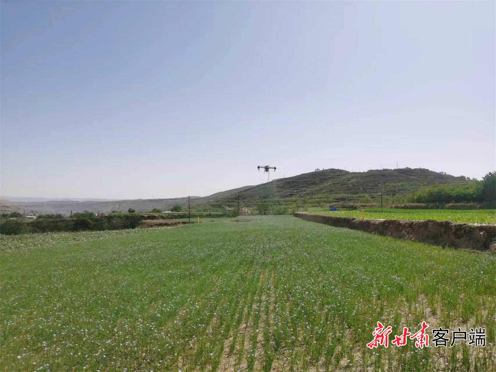 FZ007248405488_A5713467