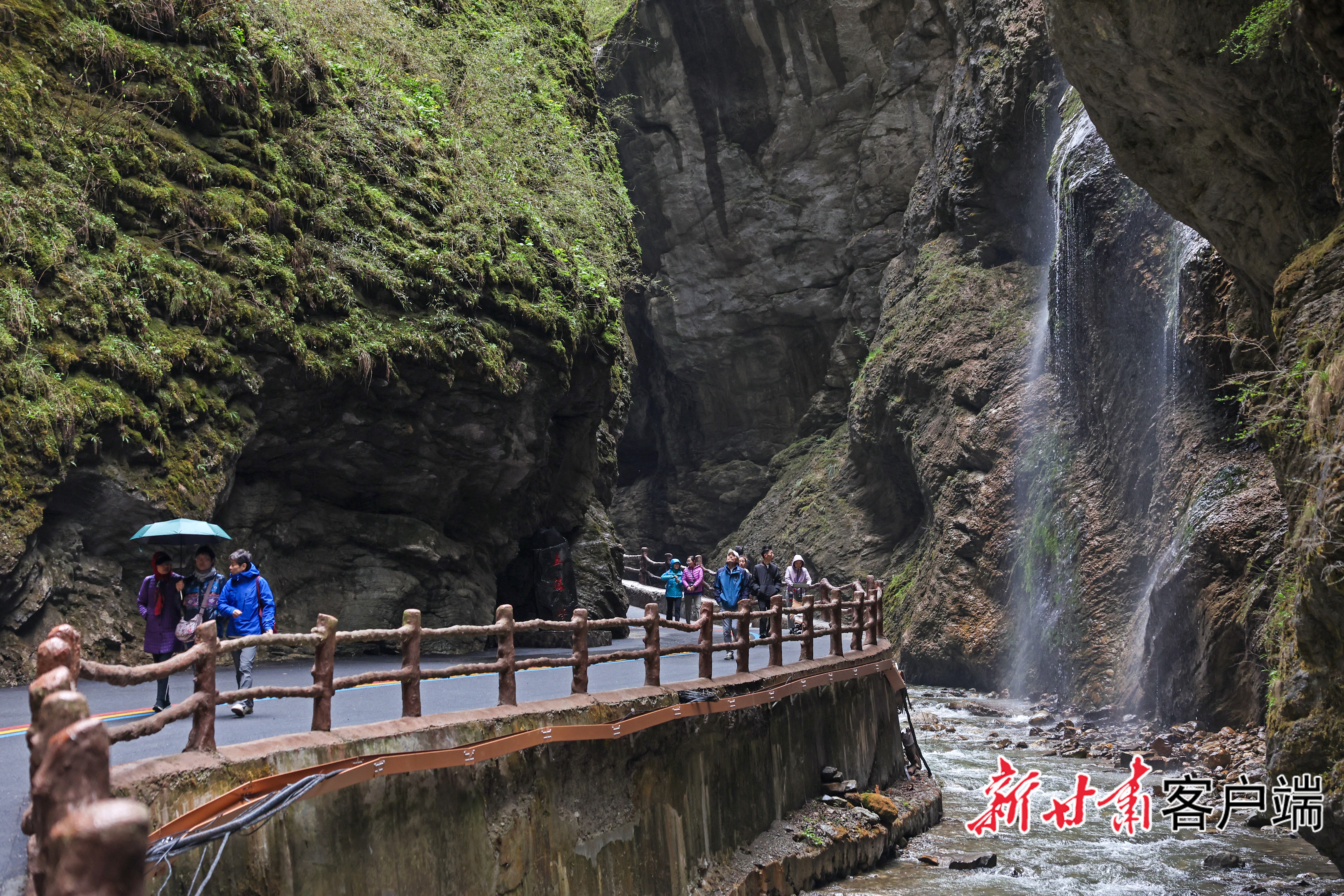 image_0 (1)