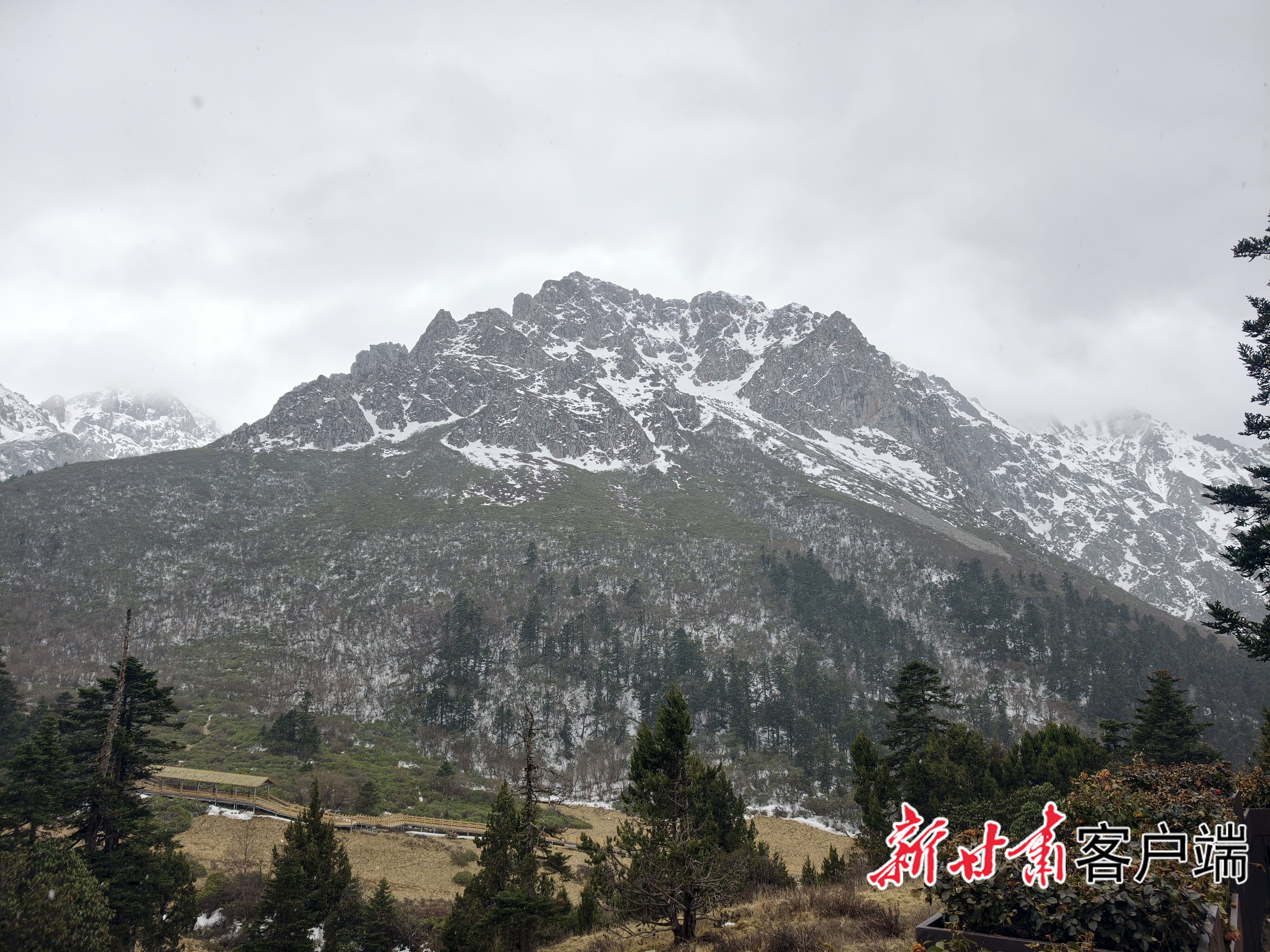 image_2
