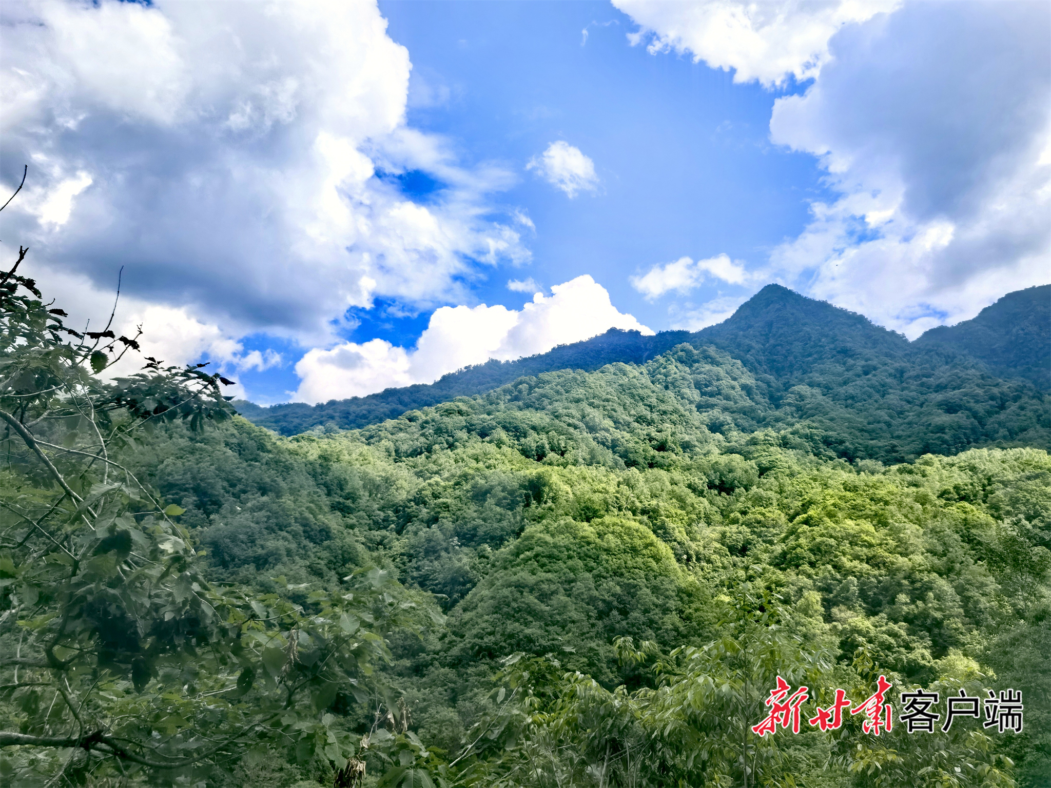 FZ007248544784_A5719706