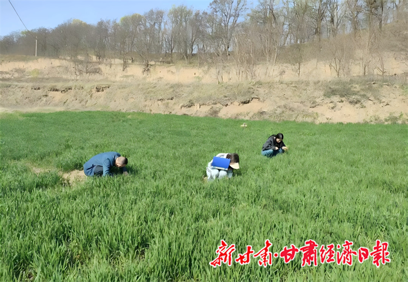 GetAttachment (5)_副本1