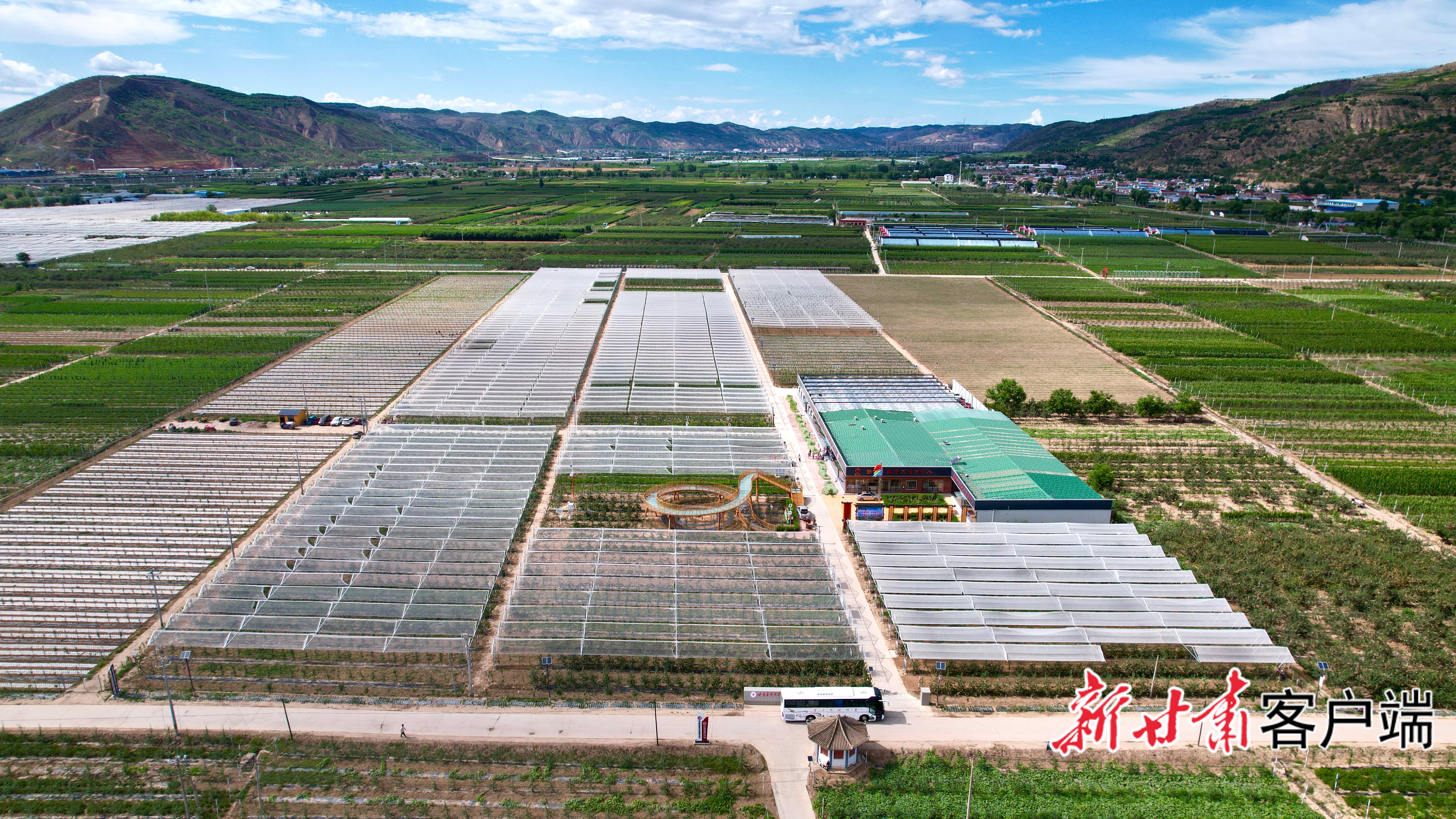 天津市武清区帮建的静宁县城川镇现代苹果矮(48690553)-20260609071501 (1)