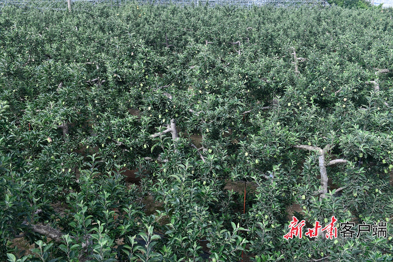FZ007248749100_A5750810