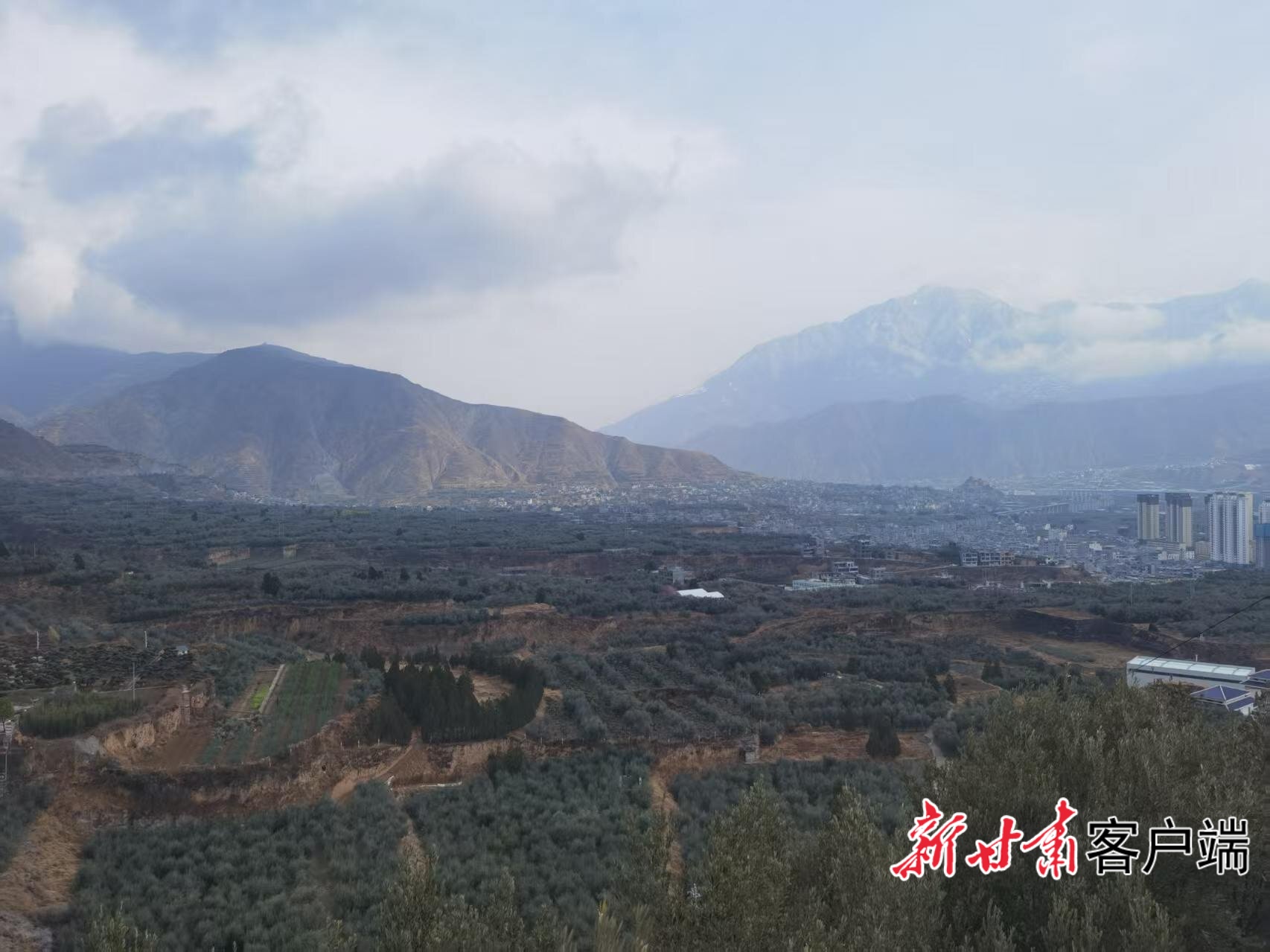 FZ007249056288_A5789258