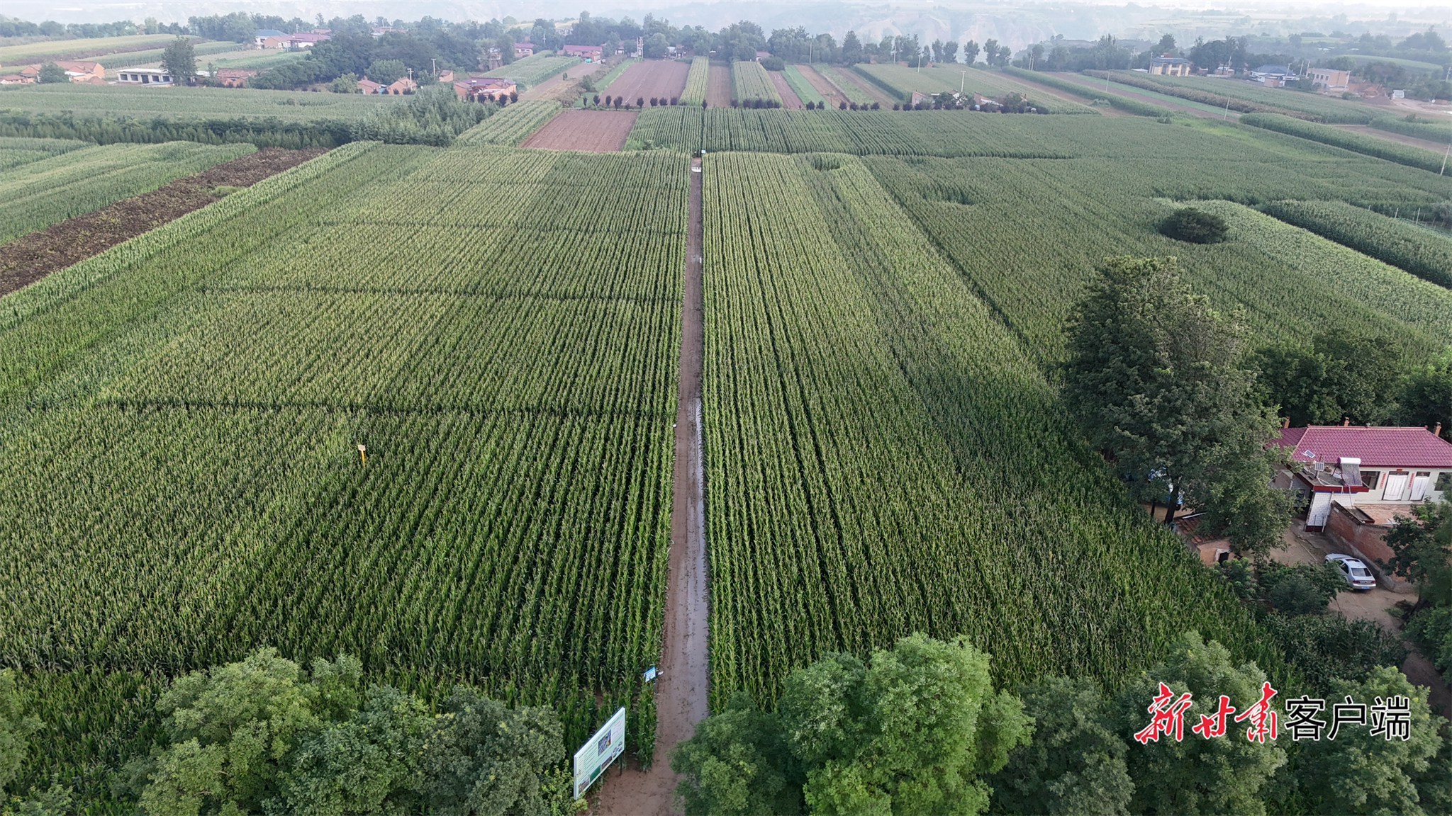 FZ007249384147_A5822369