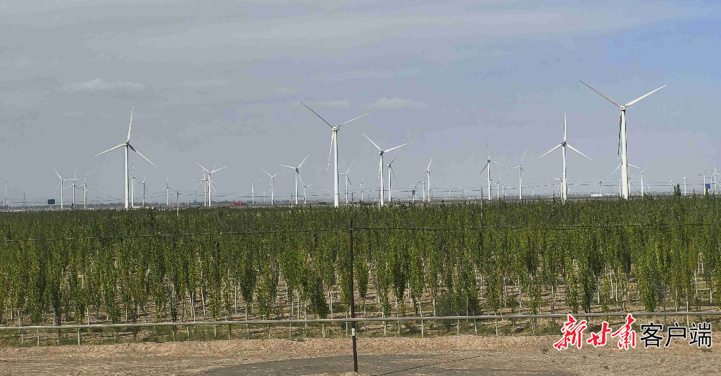 甘肃单月新能源发电量和电力外送量双破百亿度