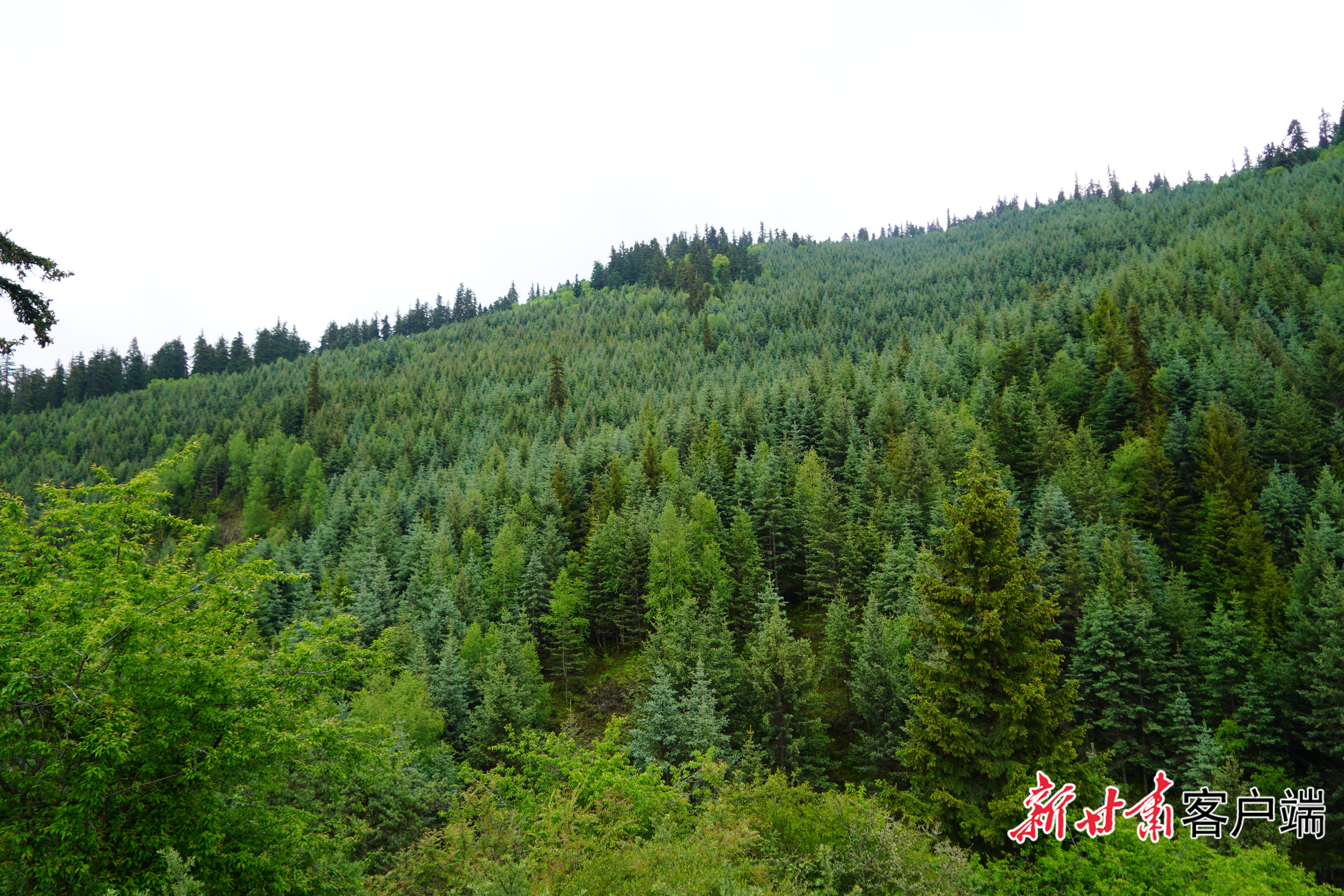 FZ007249538570_A5839413