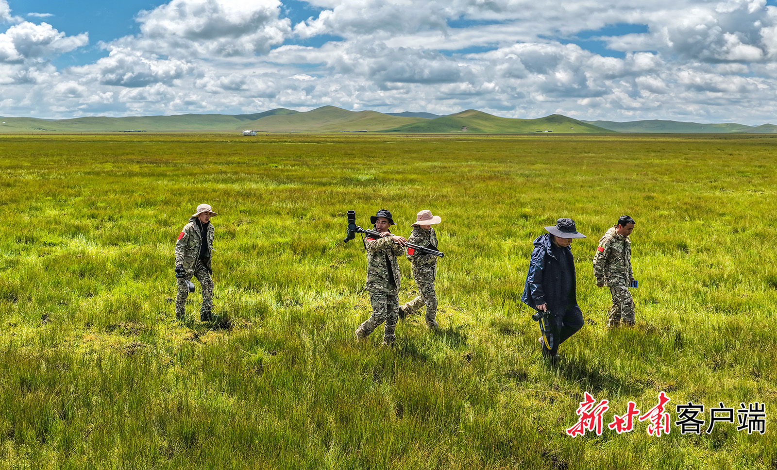 甘肃黄河首曲保护区管护见成效：“鹤宝宝”一家四口湿地嬉戏