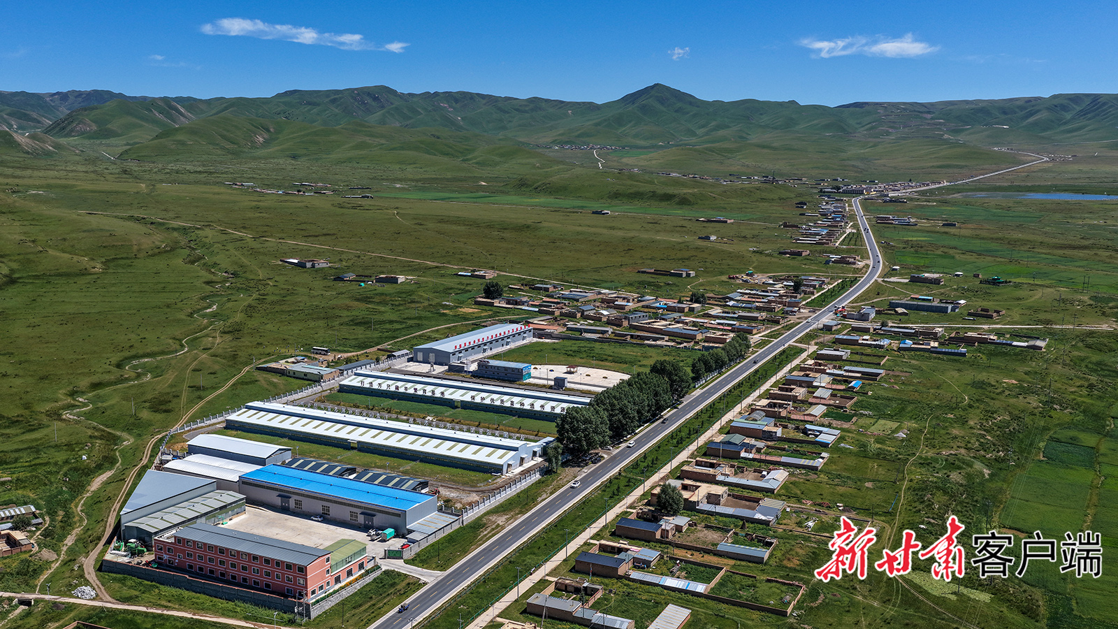 夏河万只甘加藏羊繁育基地赋能畜牧产业提质增效