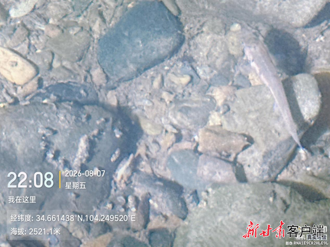 FZ007249574446_A5844013
