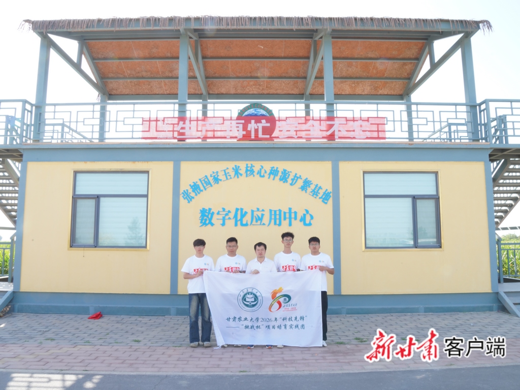 5年“蹲点”，110万元成果转化——甘肃农业大学“三下乡”团队制种玉米智慧生产探索