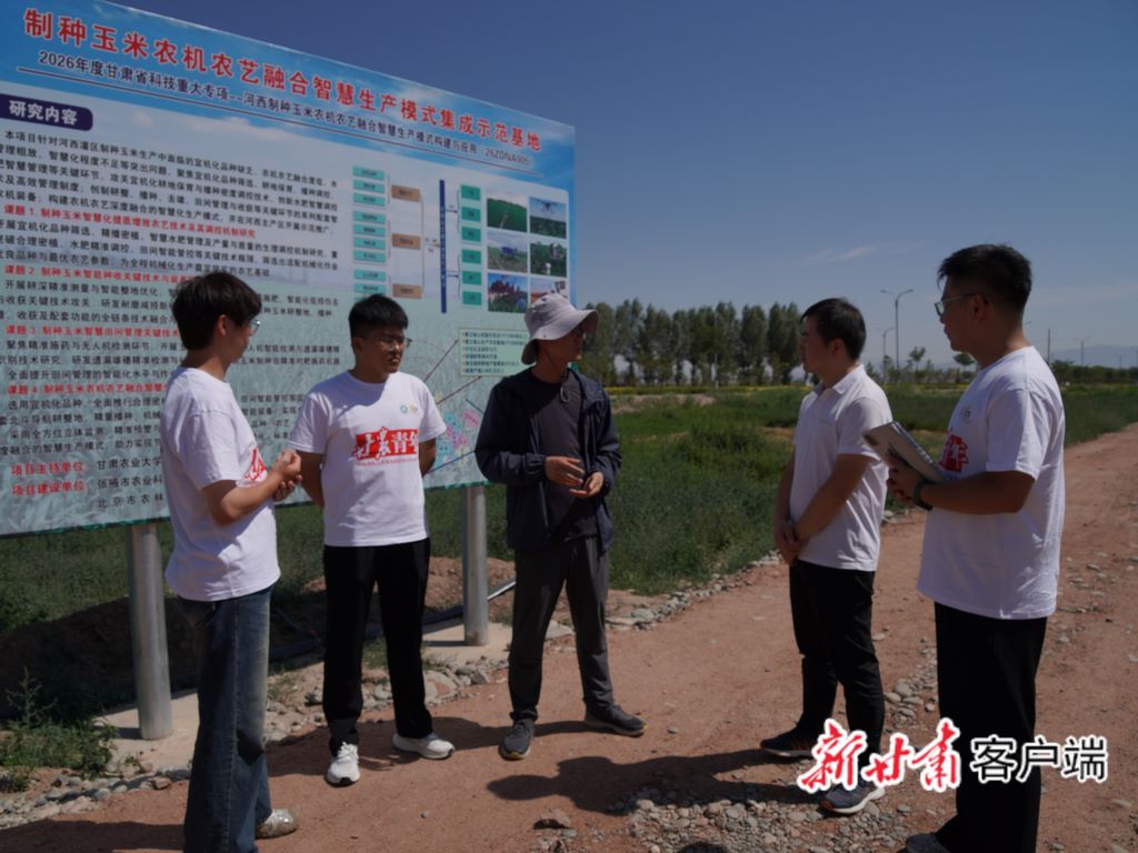 5年“蹲点”，110万元成果转化——甘肃农业大学“三下乡”团队制种玉米智慧生产探索