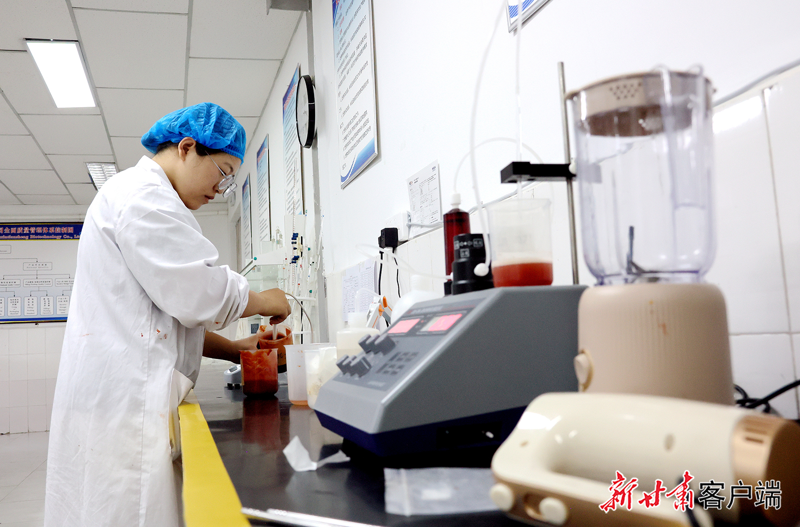 临泽：精深加工赋能现代农业产业链升级