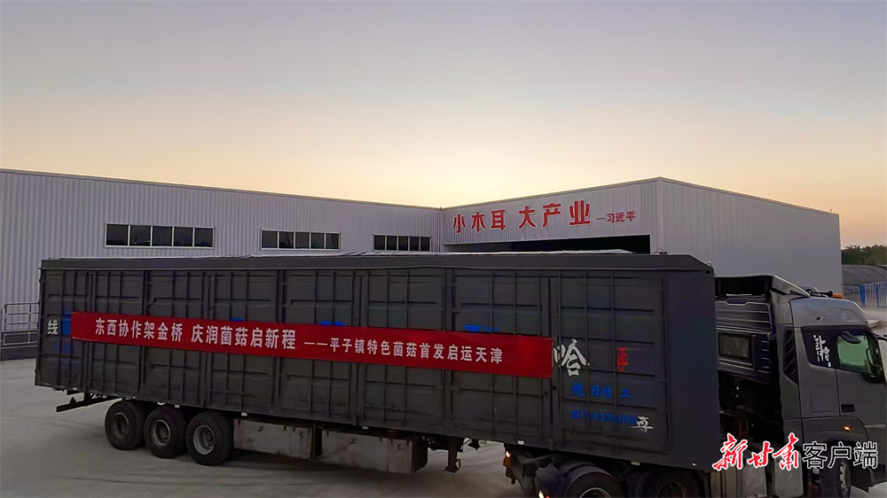 【东西部协作在陇原】宁县食用菌批量进入天津市场