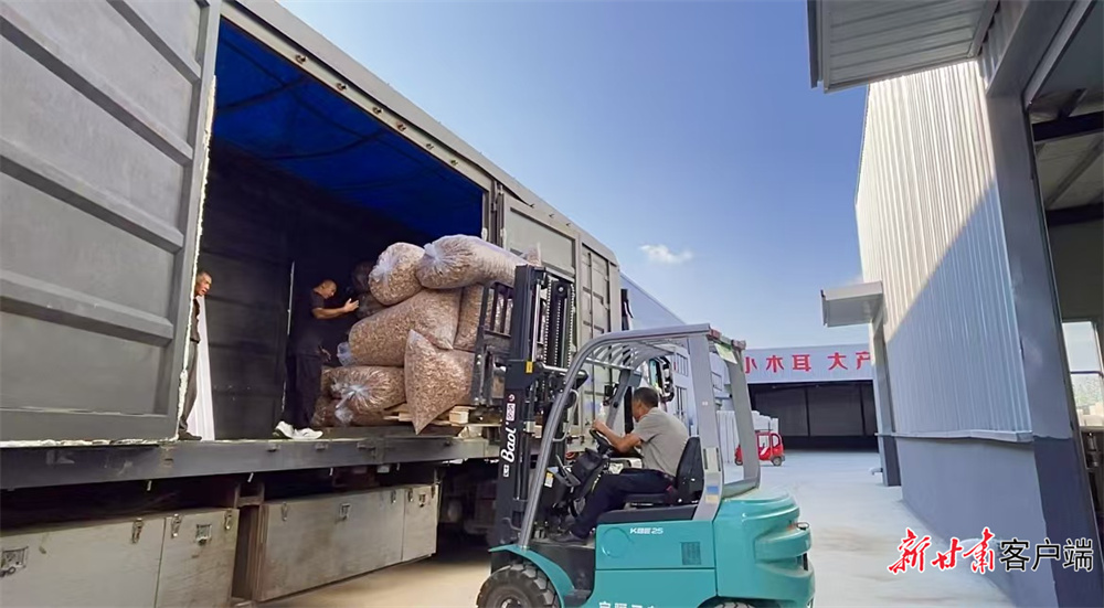 【东西部协作在陇原】宁县食用菌批量进入天津市场